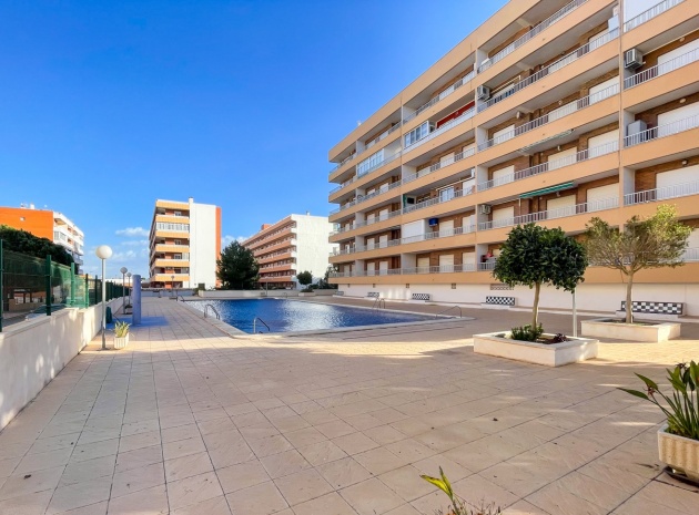 Återförsäljning - Lägenhet - Torrevieja