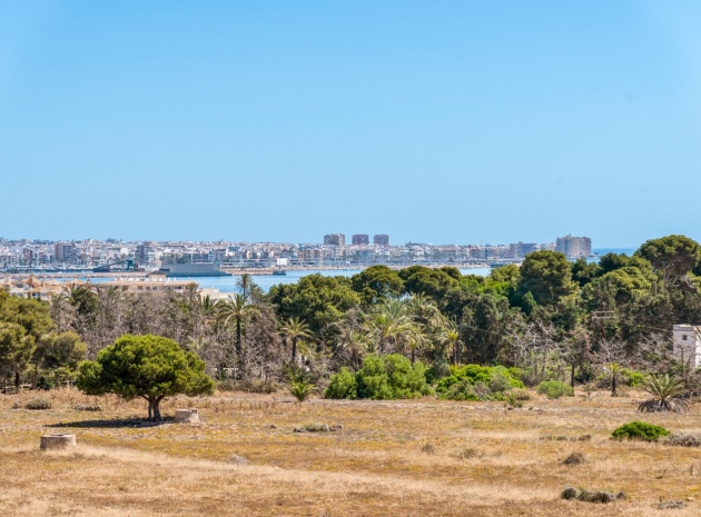 Återförsäljning - Lägenhet - Torrevieja