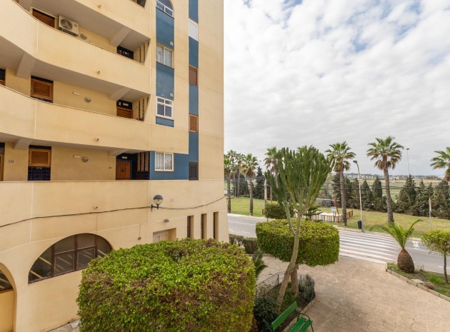 Wiederverkauf - Wohnung - Torrevieja - la veleta