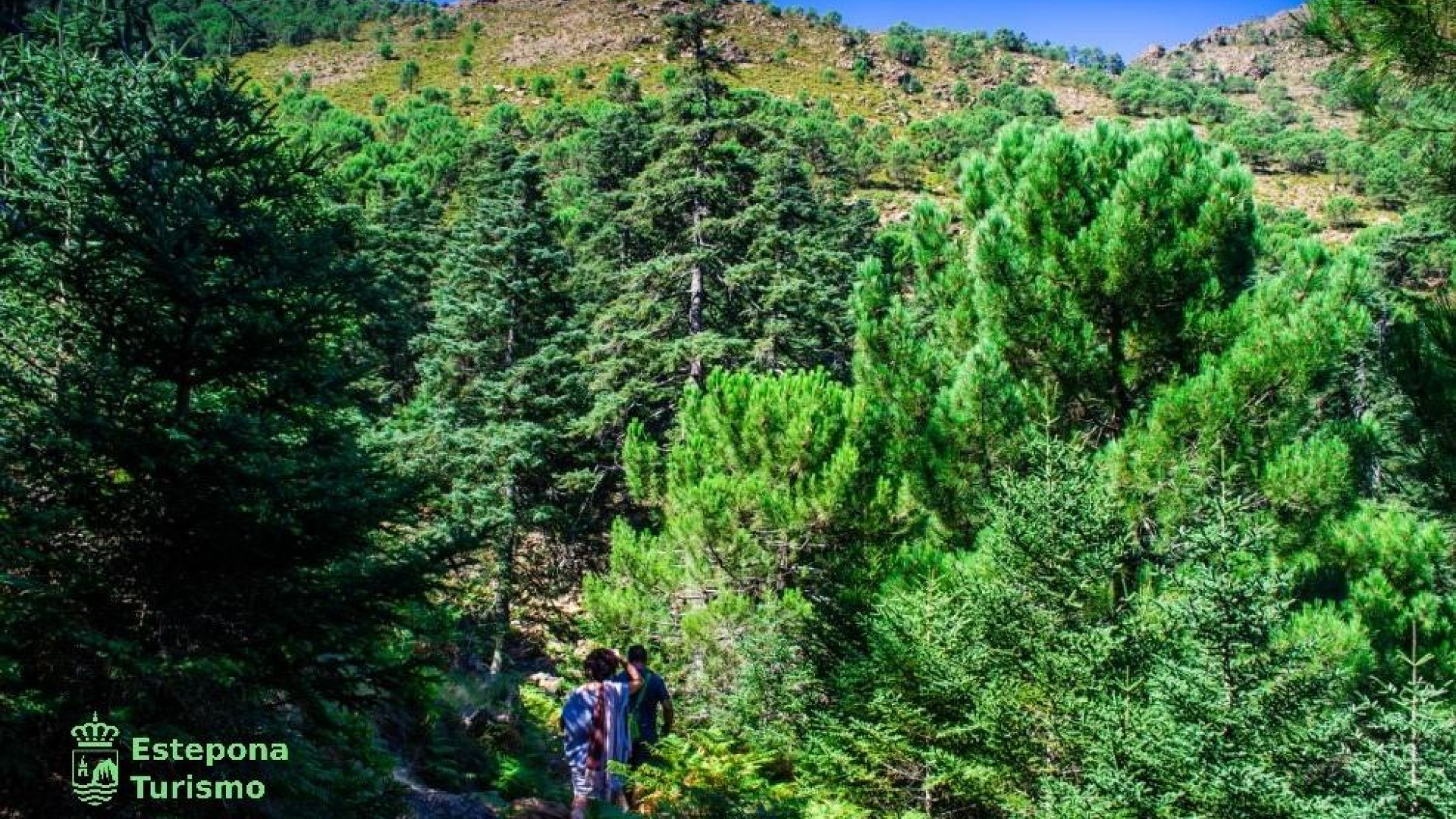 Neubau - Wohnung - Estepona - Playa de La Rada