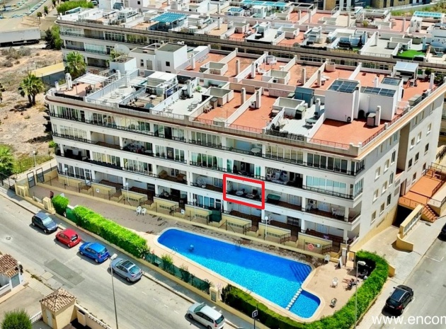 Wederverkoop - Appartement - Playa Flamenca - la mirada