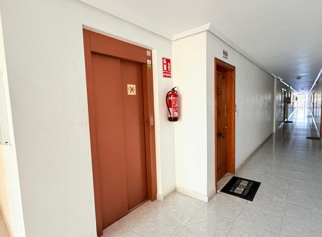 Wederverkoop - Appartement - Playa Flamenca - la mirada