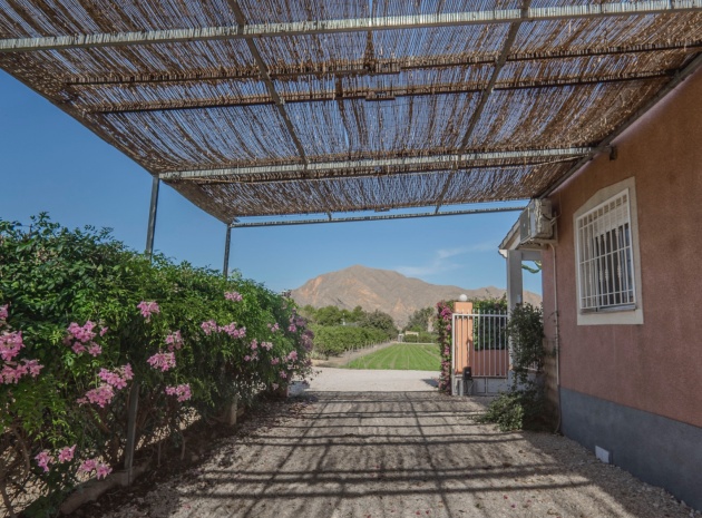 Revente - Villa - Orihuela - San Bartolome