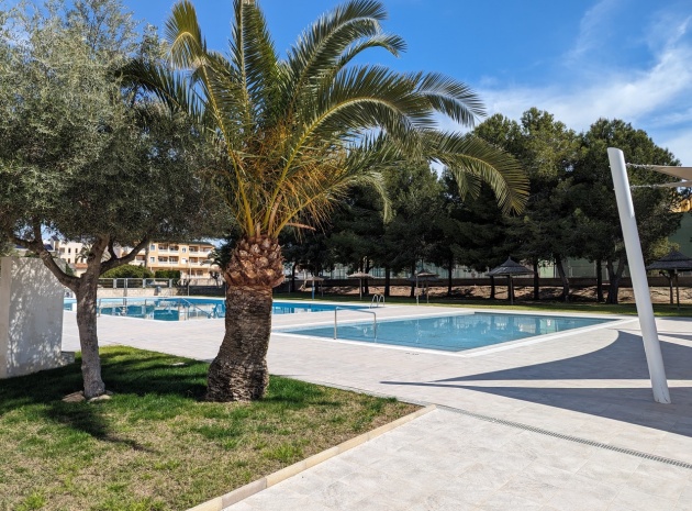 Revente - Appartement - Algorfa