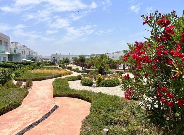 Revente - Appartement - Los Montesinos - Entre Naranjos