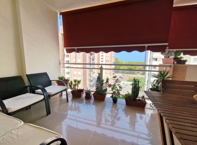 Resale - Apartment - Guardamar del Segura