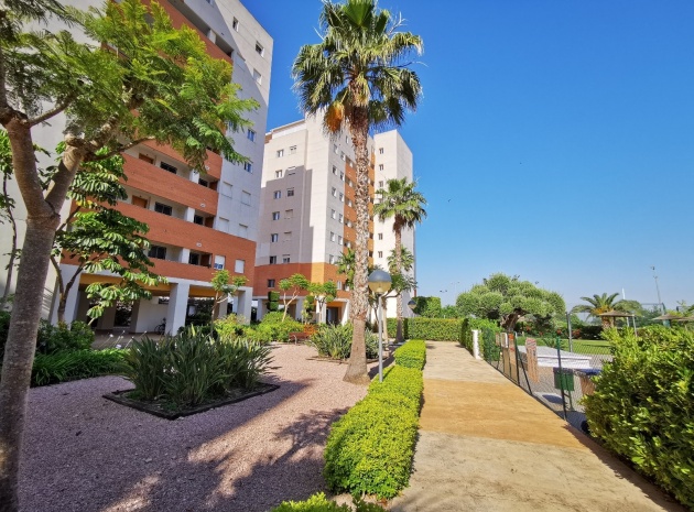 Resale - Apartment - Guardamar del Segura
