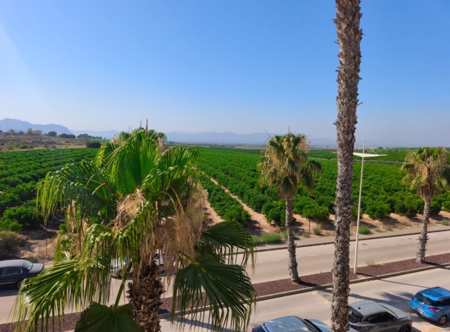 Resale - Townhouse - Algorfa - La Finca Golf Resort