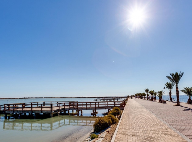 Nieuw gebouw - Villa - Pilar de la Horadada