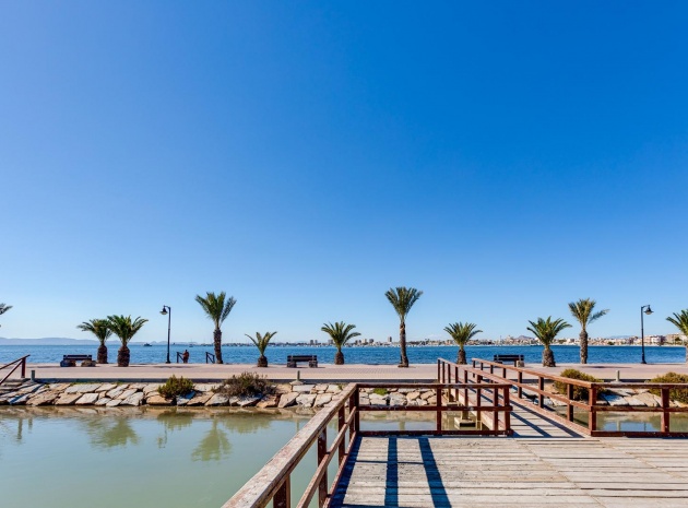 Nieuw gebouw - Villa - Pilar de la Horadada