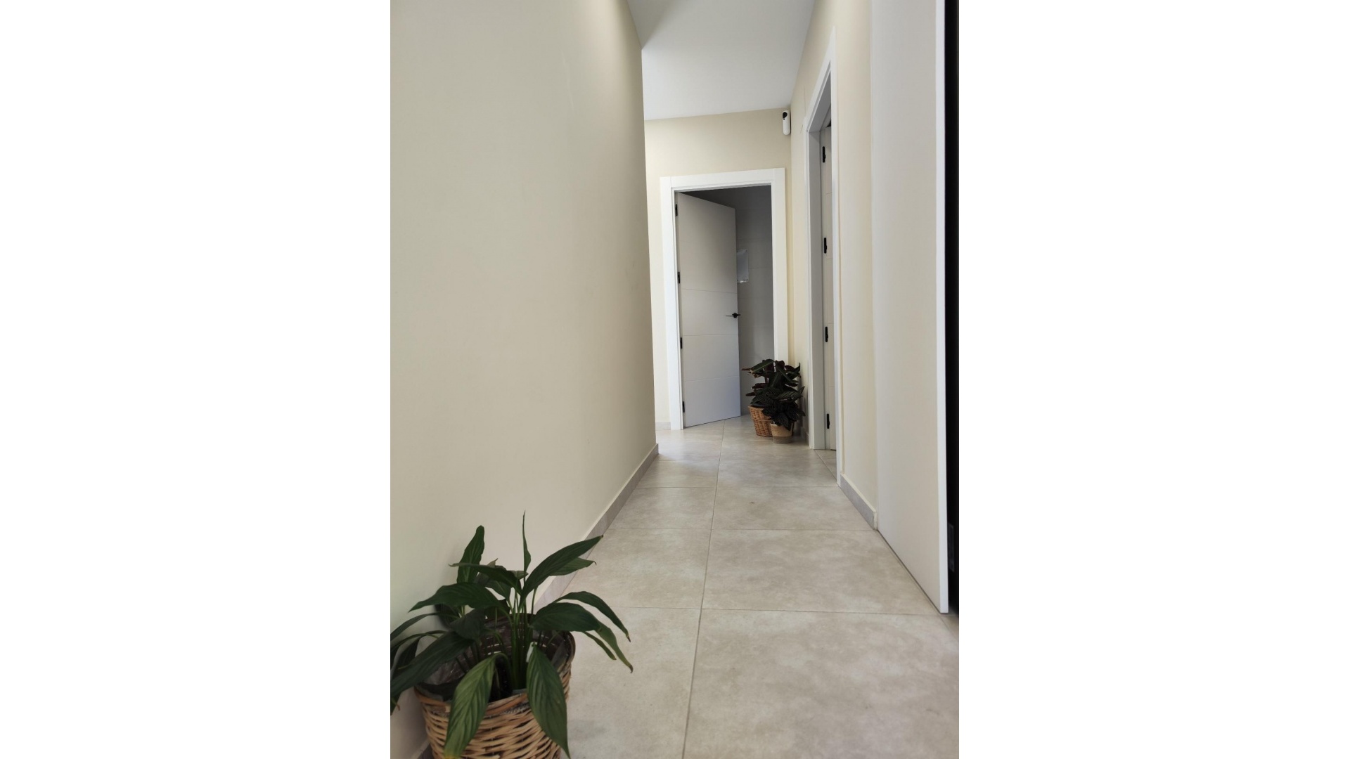 Nouvelle construction - Villa - Pinoso - Campo