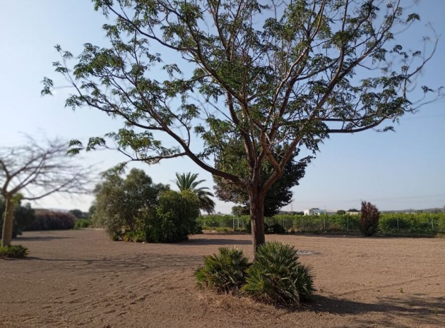 Revente - Villa - Daya Nueva