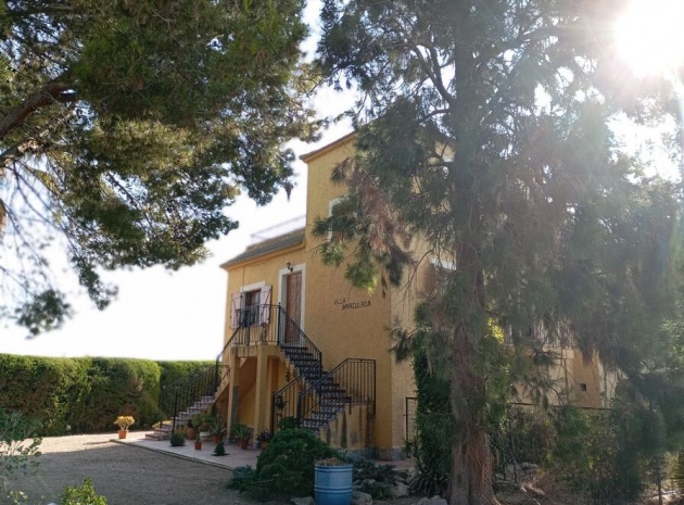 Revente - Villa - Daya Nueva