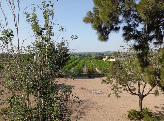 Revente - Villa - Daya Nueva