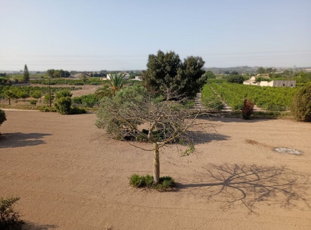 Revente - Villa - Daya Nueva