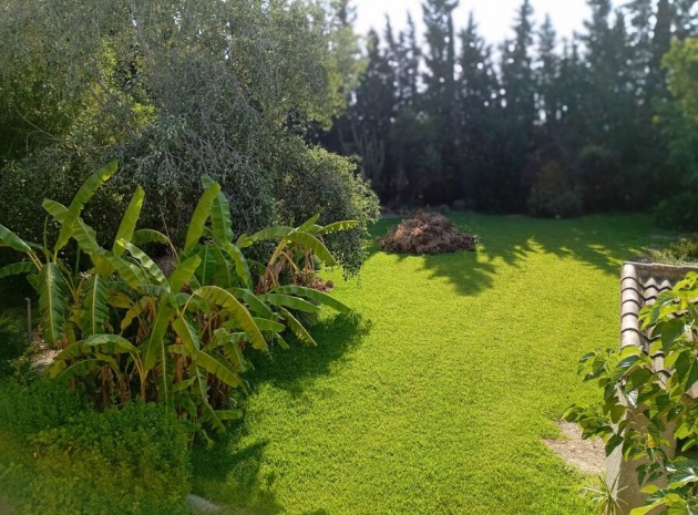 Revente - Villa - Daya Nueva