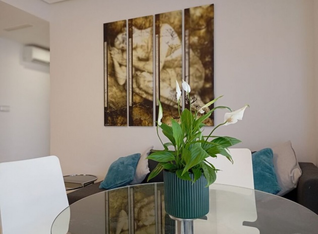 Wederverkoop - Appartement - Daya Vieja