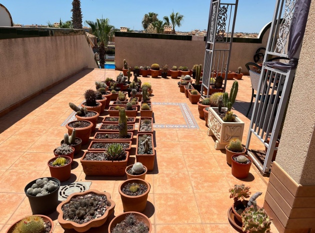 Wederverkoop - Appartement - Playa Flamenca - miraflores