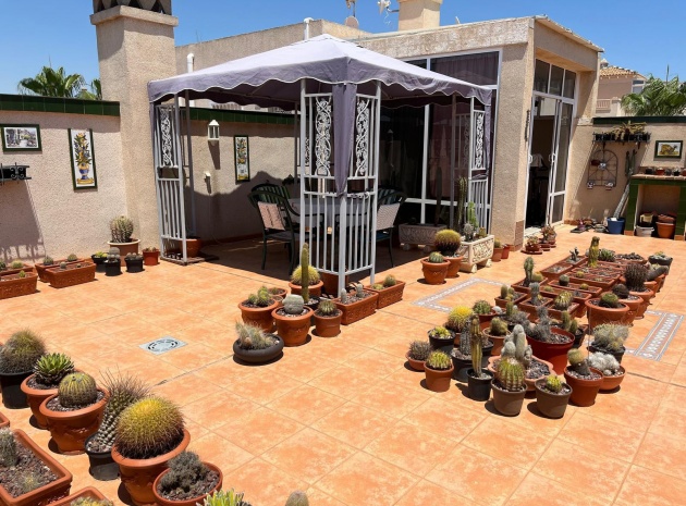 Wederverkoop - Appartement - Playa Flamenca - miraflores