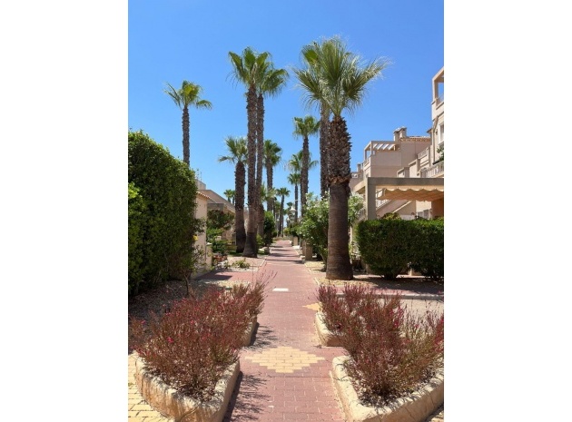 Wederverkoop - Appartement - Playa Flamenca - miraflores