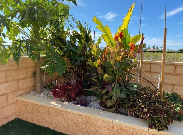 Wiederverkauf - Villa - Albatera - albatera