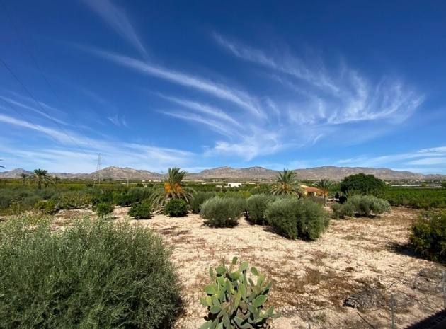 Wiederverkauf - Villa - Albatera - albatera