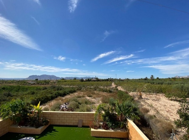 Wiederverkauf - Villa - Albatera - albatera