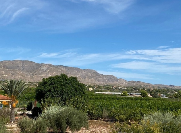 Wiederverkauf - Villa - Albatera - albatera