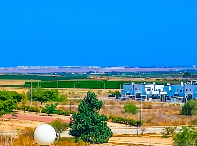 Resale - Apartment - Los Montesinos - entre naranjos