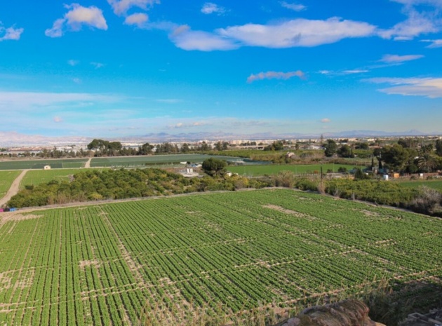 Resale - Apartment - Algorfa