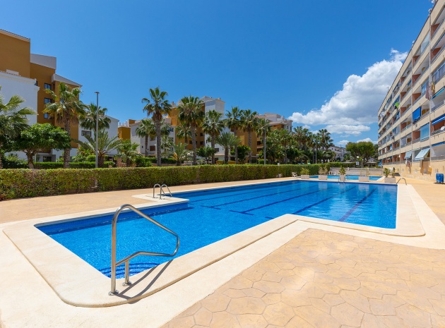 Revente - Appartement - Punta Prima - rocio del mar