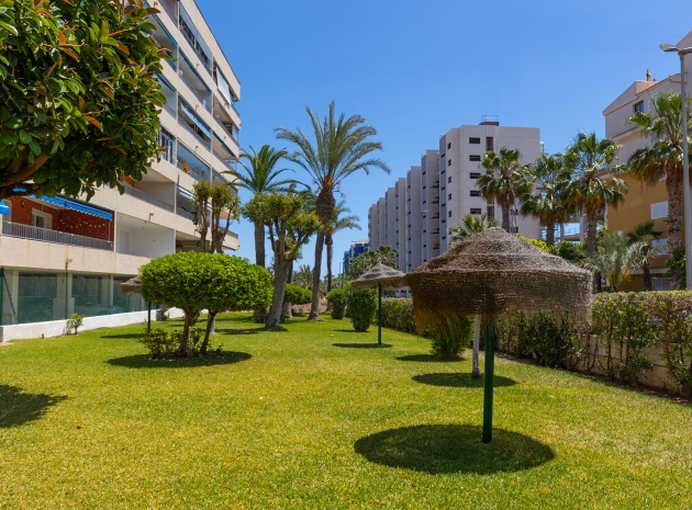Revente - Appartement - Punta Prima - rocio del mar