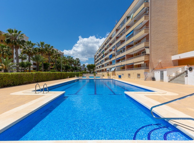 Revente - Appartement - Punta Prima - rocio del mar
