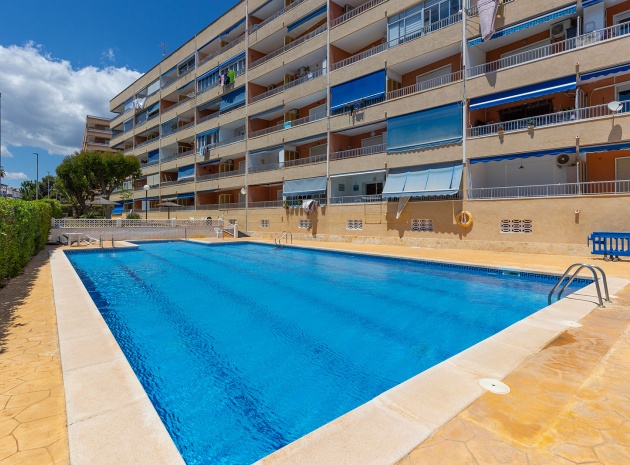 Revente - Appartement - Punta Prima - rocio del mar