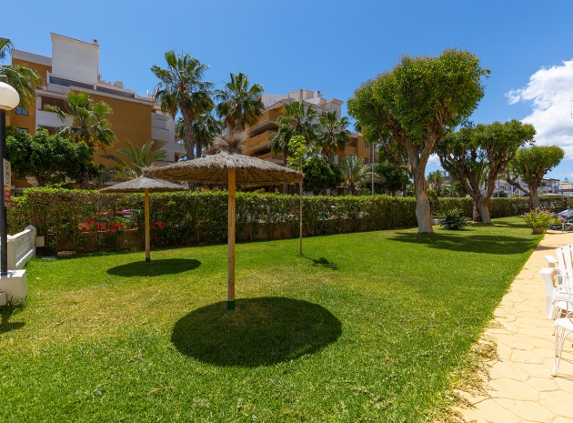 Revente - Appartement - Punta Prima - rocio del mar