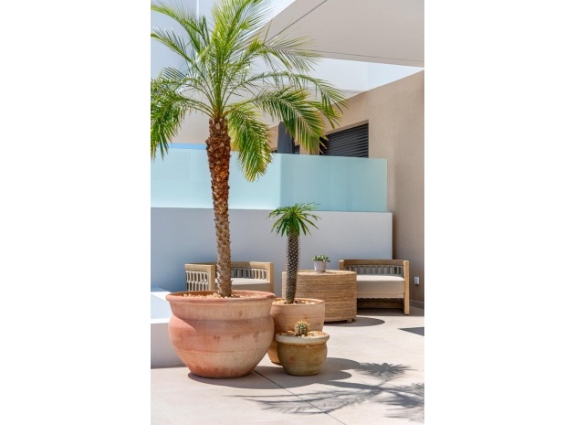 New Build - Villa - Dolores - Sector 3