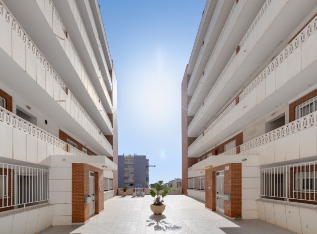 Wiederverkauf - Wohnung - Punta Prima - rocio del mar