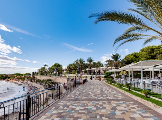 Wiederverkauf - Wohnung - Punta Prima - rocio del mar