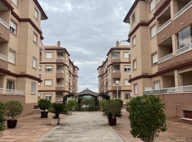 Återförsäljning - Lägenhet - Algorfa - res cecilia