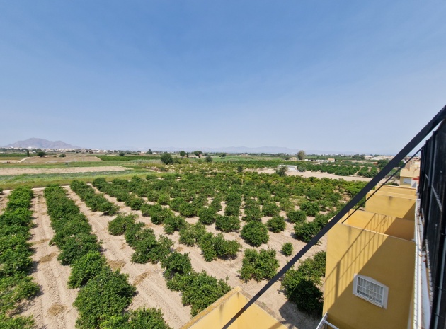 Wiederverkauf - Wohnung - Daya Nueva