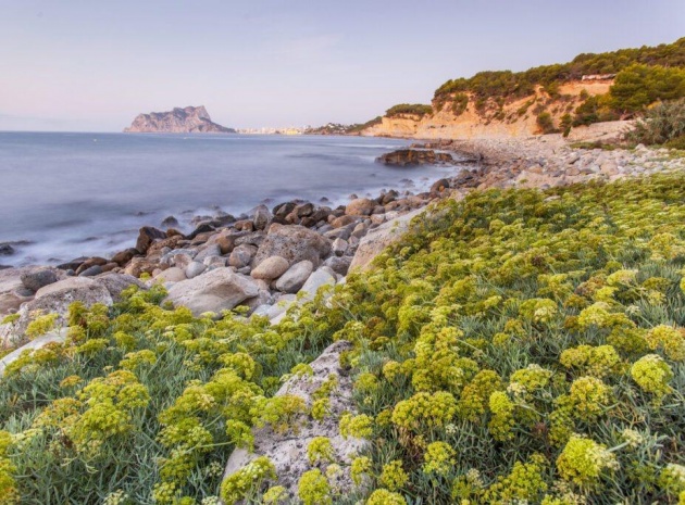 New Build - Villa - Benissa - Cala Advocat