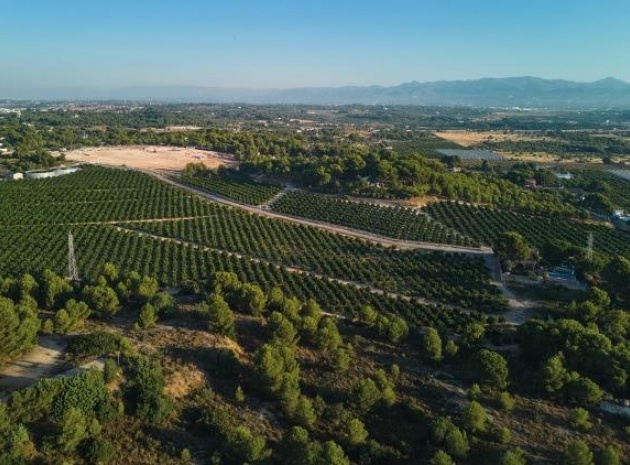 New Build - Villa - Godella - Campolivar