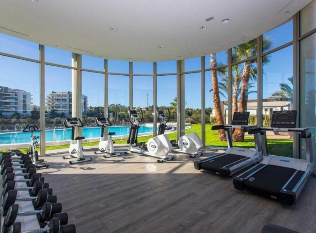 Wiederverkauf - Wohnung - Villamartin - Los Dolses