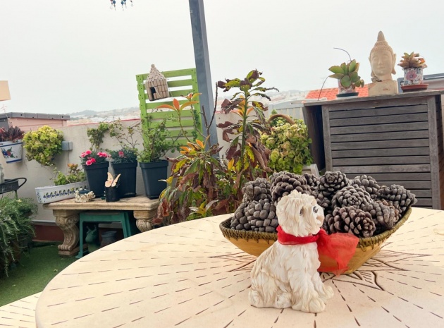 Resale - Apartment - Los Altos - dream hills