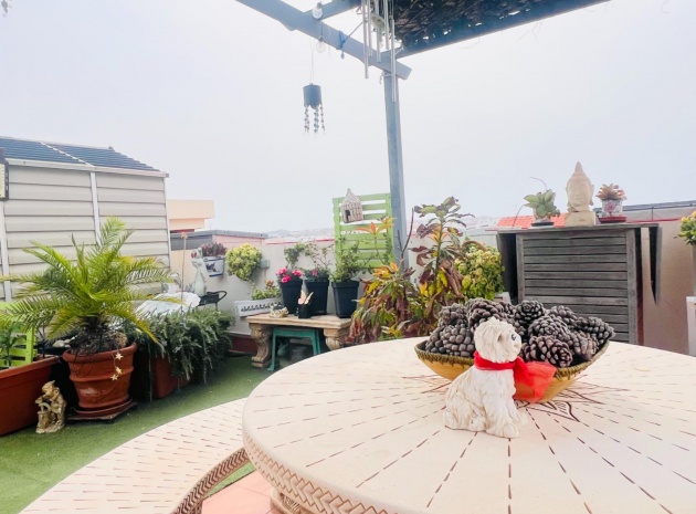 Resale - Apartment - Los Altos - dream hills