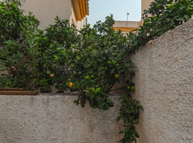 Wiederverkauf - Villa - Ciudad Quesada