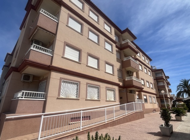 Wederverkoop - Appartement - Algorfa - res cecilia
