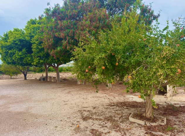 Resale - Country Property - Rojales - Cuidad Quesada