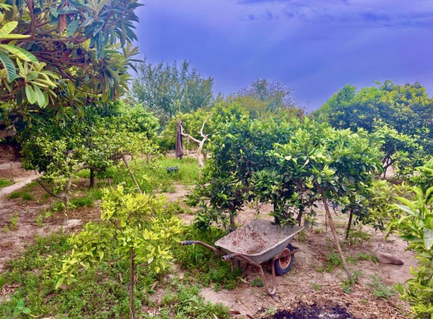 Resale - Country Property - Rojales - Cuidad Quesada