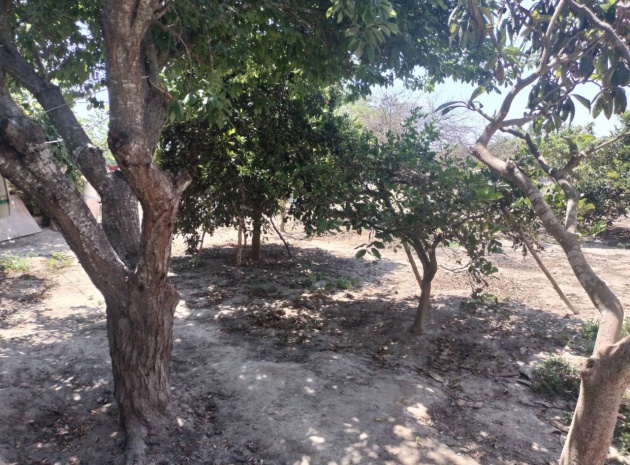 Resale - Country Property - Rojales - Cuidad Quesada